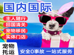 南充高坪机场托运国际宠物托运 【国